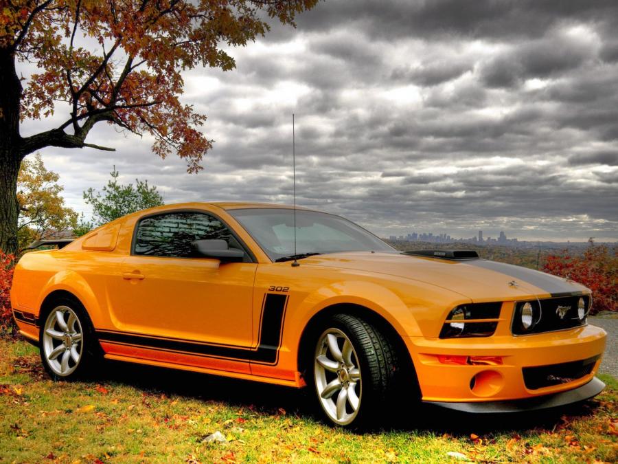  Saleen S302 Parnelli Jones Limited Edition 2006 года  (фото 19 из 21)
